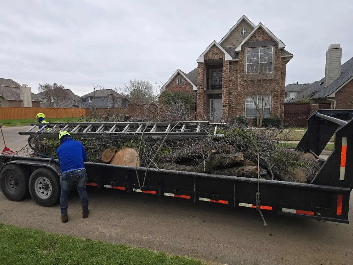 Expert Tree Fertilization with proper safety equipment in Kyle